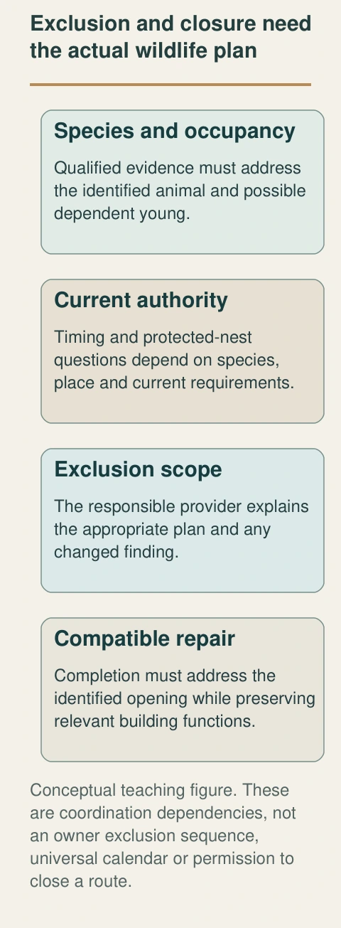 A closure plan depends on the actual species, occupancy and possible dependent young. The figure keeps those findings and current authority ahead of provider-defined exclusion and a repair that preserves building functions.