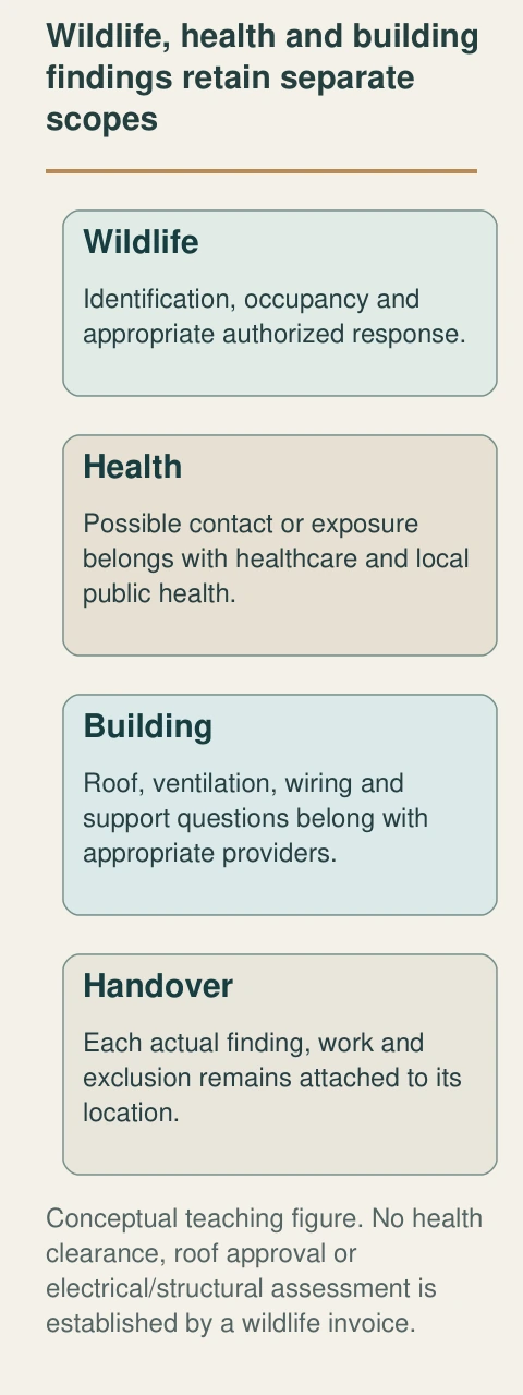 Wildlife assessment identifies the animal and response scope; healthcare addresses possible contact; building providers assess affected roof, ventilation, wiring or support. The handover keeps each finding with its own task and location.